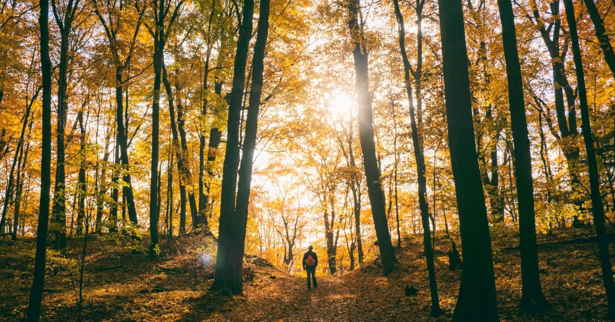 What’s in Your Pack? Essential Fall Hiking Gear