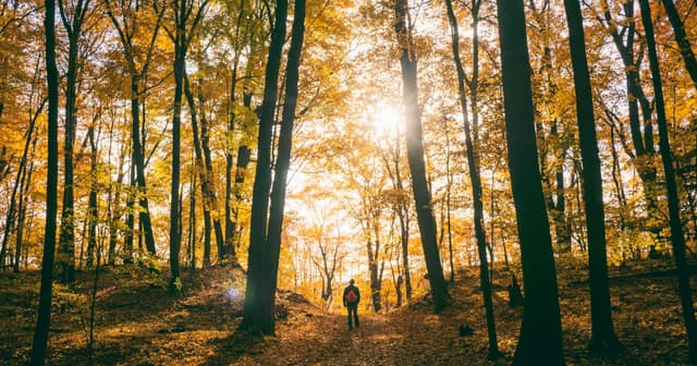 What’s in Your Pack? Essential Fall Hiking Gear