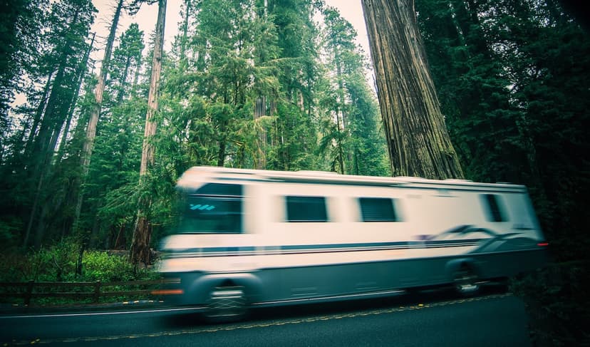 Things We đ§Ą: The Adventure Passâ˘