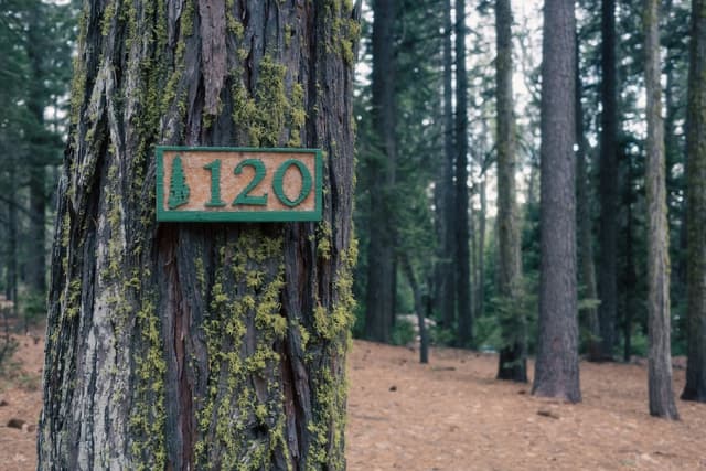 RV Campground Red Flags (What to Watch for Before You Book)