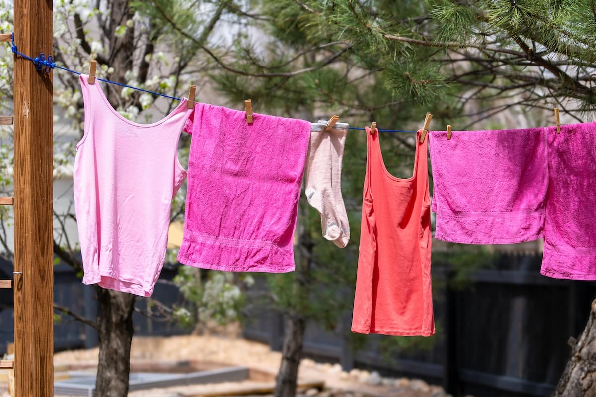 Laundry on the Road: The Best Washers and Dryers for Your RV