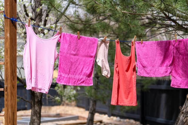 Laundry on the Road: The Best Washers and Dryers for Your RV