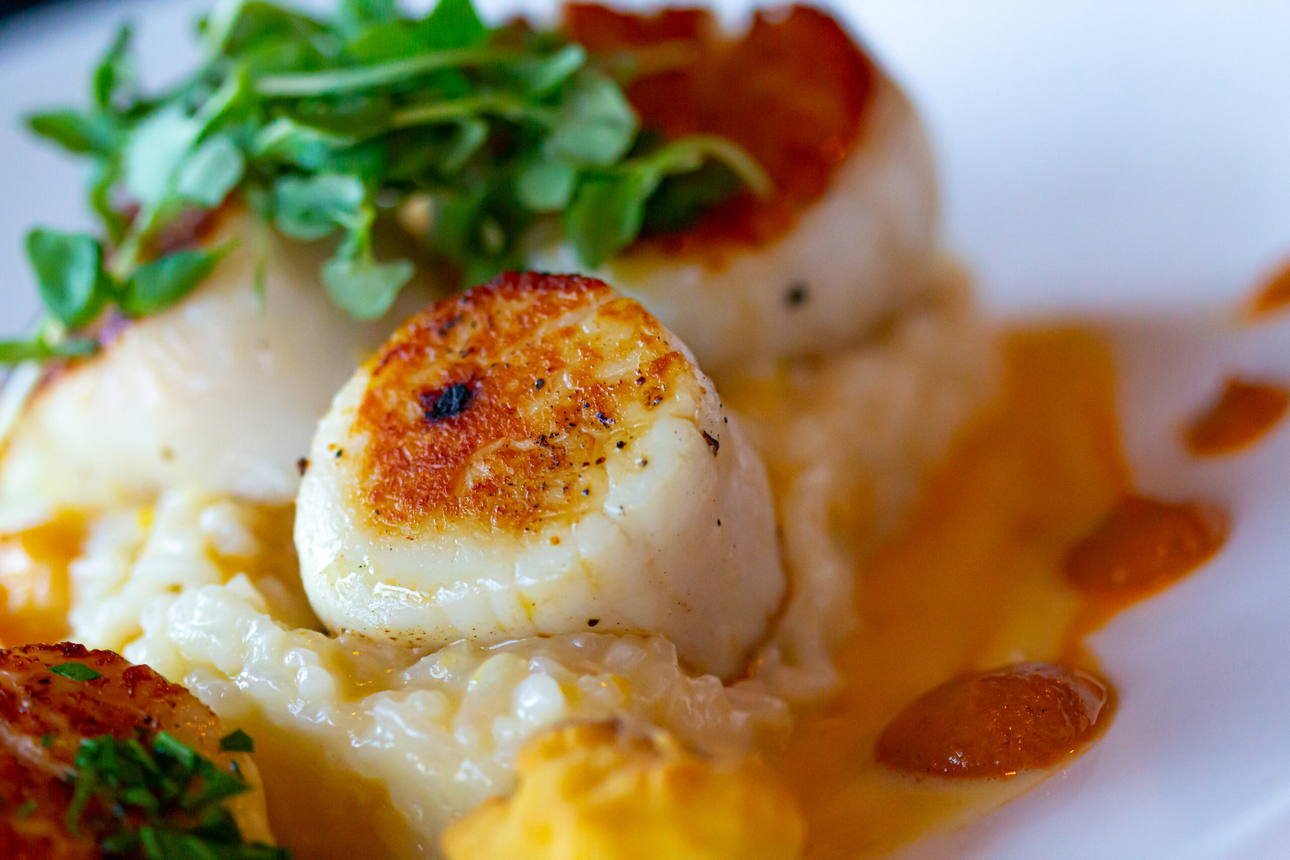 scallop with reduction sauce